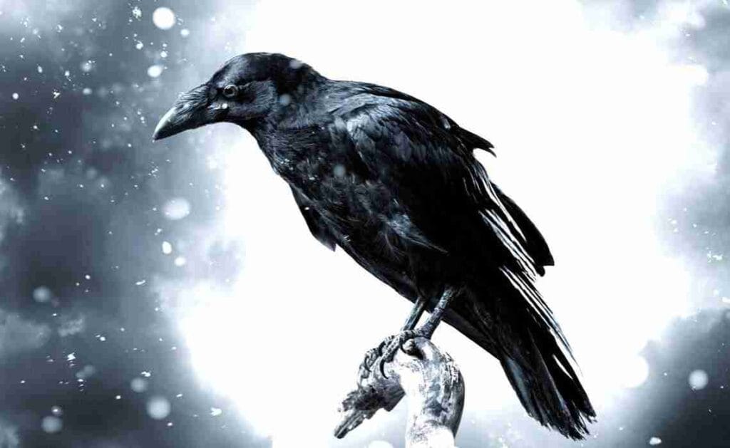 Raven-method-for-shifting-reality