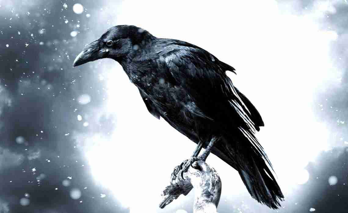 Raven-method-for-shifting-reality